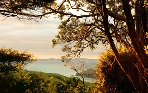 nature, landscape