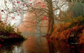 lake, trees