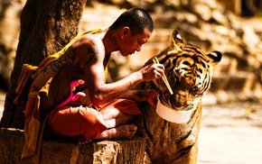 depth of field, tattoo, eating, sitting, China, tiger