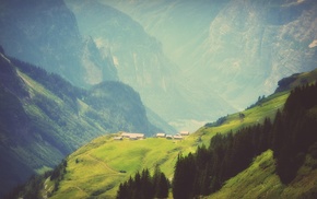 landscape, trees, mountain, mist