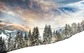 snow, trees, landscape