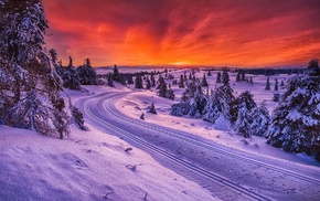 sunset, snow, road, trees