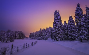 winter, snow, trees, landscape