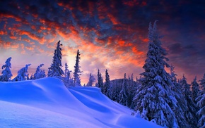 snow, landscape, trees