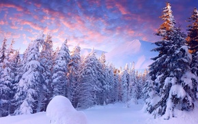 snow, landscape, trees