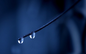 water drops, macro