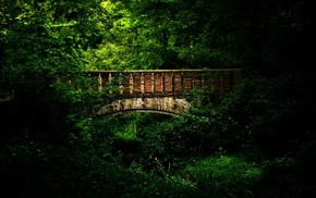 bridge, forest