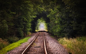 trees, nature, railway, forest
