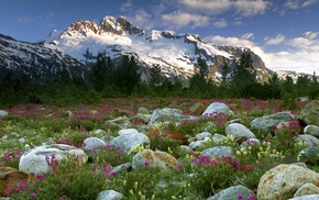 field, mountain, landscape