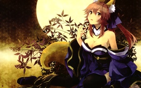 Fate Series, Caster FateExtra, FateExtra