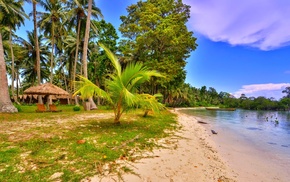 boat, landscape, sea, palm trees, beach, sunshade