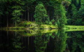 lake, trees