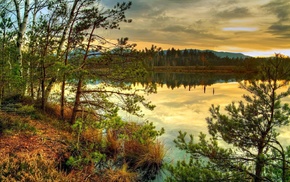 nature, sunset, lake, forest, trees, reflection