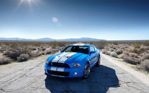 Ford Mustang Shelby, car