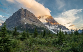 trees, nature, mountain, clouds