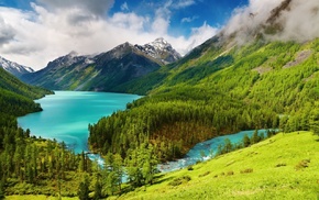 lake, landscape, forest, mountain