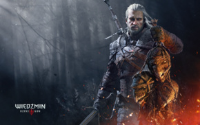 The Witcher 3 Wild Hunt