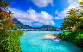 summer, palm trees, nature, French Polynesia, island, resort