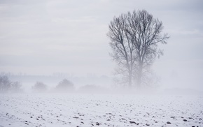 landscape, snow, trees, winter