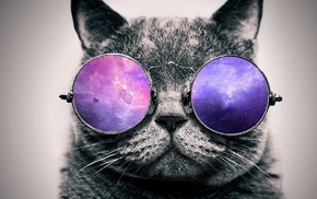 artwork, glasses, cat, digital art