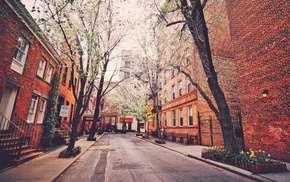 building, urban, trees, street