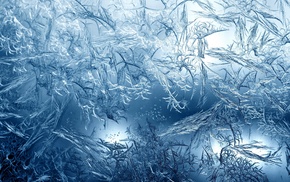 frost, ice, macro