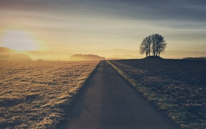 road, landscape