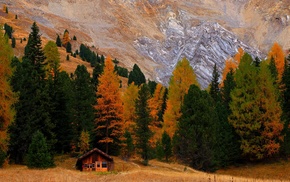 fall, trees, hut