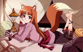 Spice and Wolf, Holo