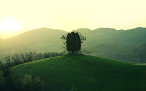 trees, mountain, grass