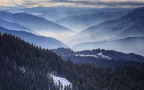 nature, forest, mist, landscape, Romania, mountain