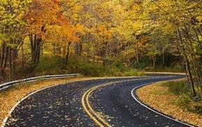 road, fall