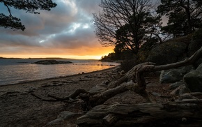 sunset, trees, landscape