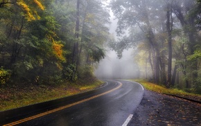 landscape, mist, road