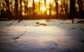 snow