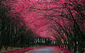 nature