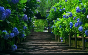 nature