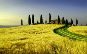 nature
