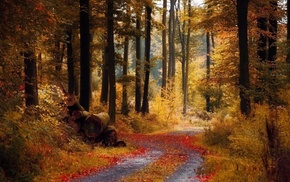 nature