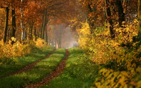 nature