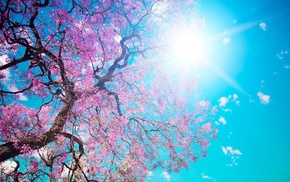 nature