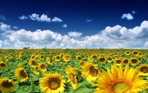 nature