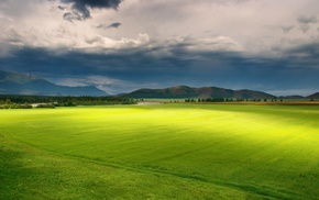 landscape, nature, field