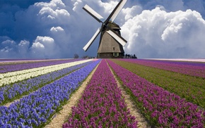 windmills, nature