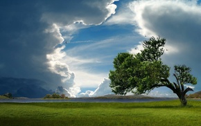 nature