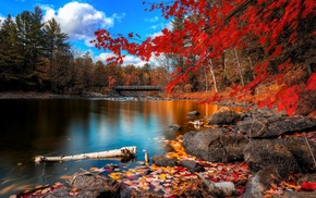 nature