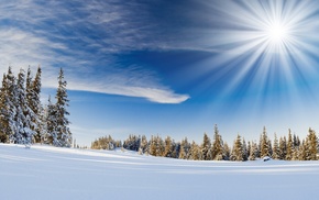 winter, snow, landscape