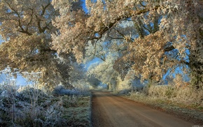 winter, snow