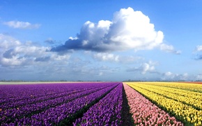 nature