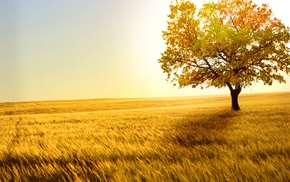 nature